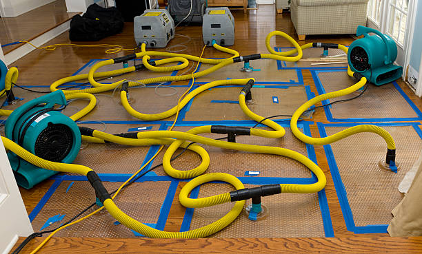 Professional Crawl Space Water Removal technician working in Maysville, NC